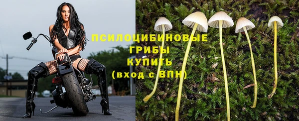 эйфоретик Балабаново