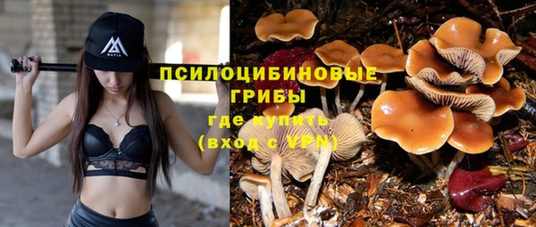 MESCALINE Баксан