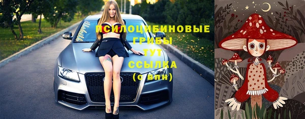 дурь Балахна