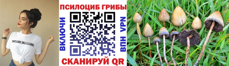 блэк спрут онион  Никольск  Галлюциногенные грибы ЛСД 